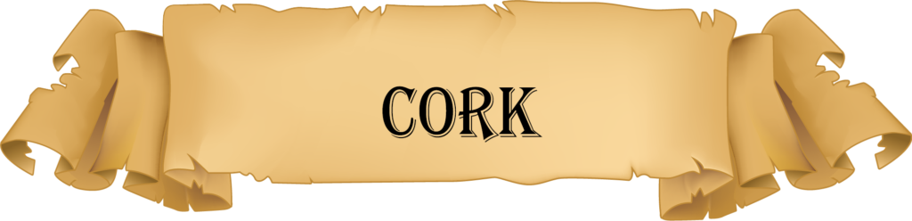 Males Ireland Cork banner