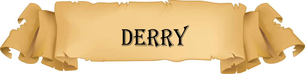 Males Ireland Derry banner