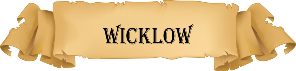 Males Ireland Wicklow Banner
